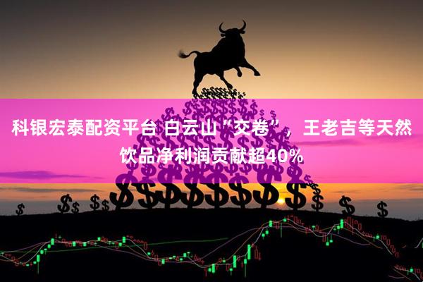 科银宏泰配资平台 白云山“交卷”，王老吉等天然饮品净利润贡献超40%