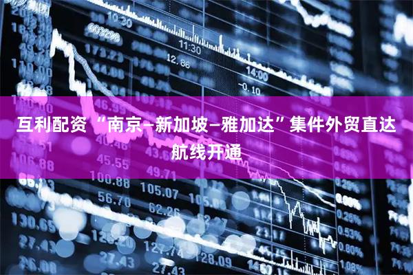 互利配资 “南京—新加坡—雅加达”集件外贸直达航线开通