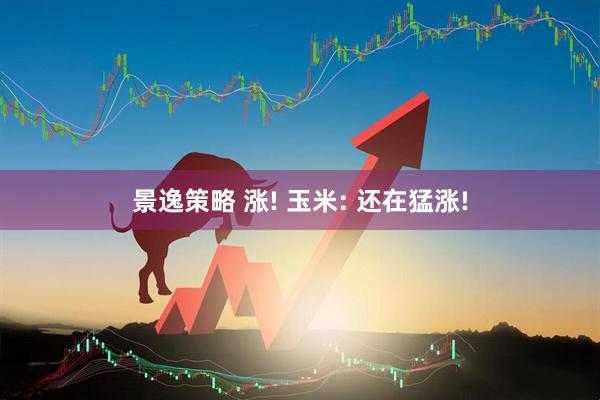 景逸策略 涨! 玉米: 还在猛涨!